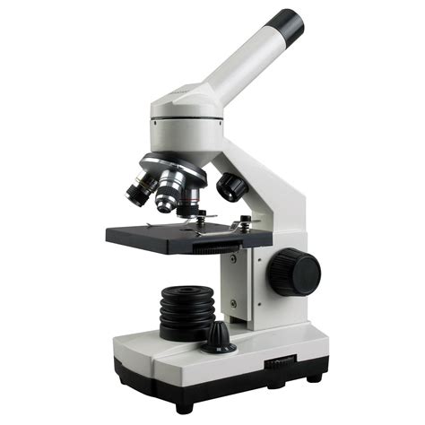 3.2: The Compound Light Microscope .